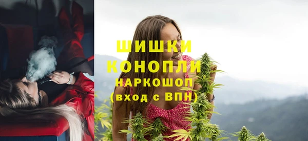 ПСИЛОЦИБИНОВЫЕ ГРИБЫ Бородино