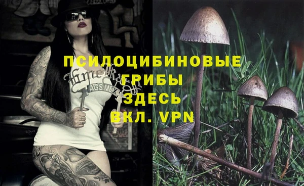 стафф Бронницы