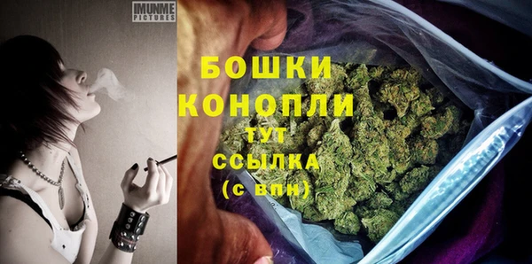 ПСИЛОЦИБИНОВЫЕ ГРИБЫ Бородино