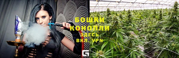 ПСИЛОЦИБИНОВЫЕ ГРИБЫ Бородино