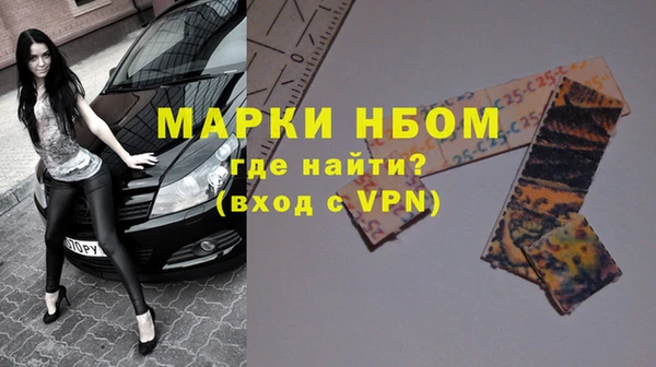 ПСИЛОЦИБИНОВЫЕ ГРИБЫ Бородино